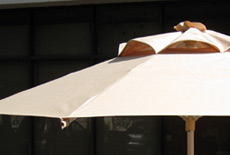 aluminium fabric umbrella